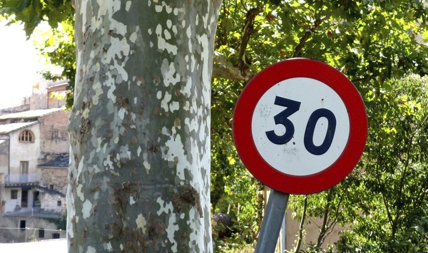 Señal de tráfico que indica una velocidad máxima de 30 km/h junto a un árbol.